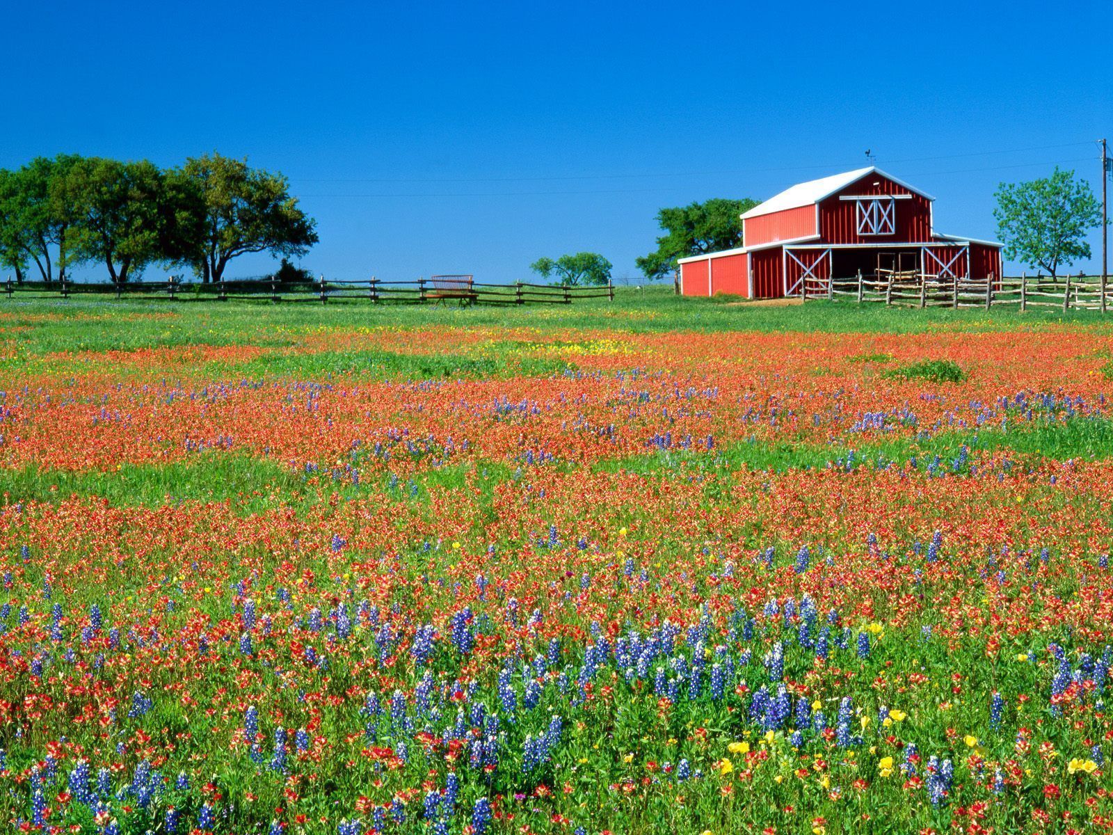 Texas Desktop Wallpaper - HD Wallpapers Backgrounds of Your Choice