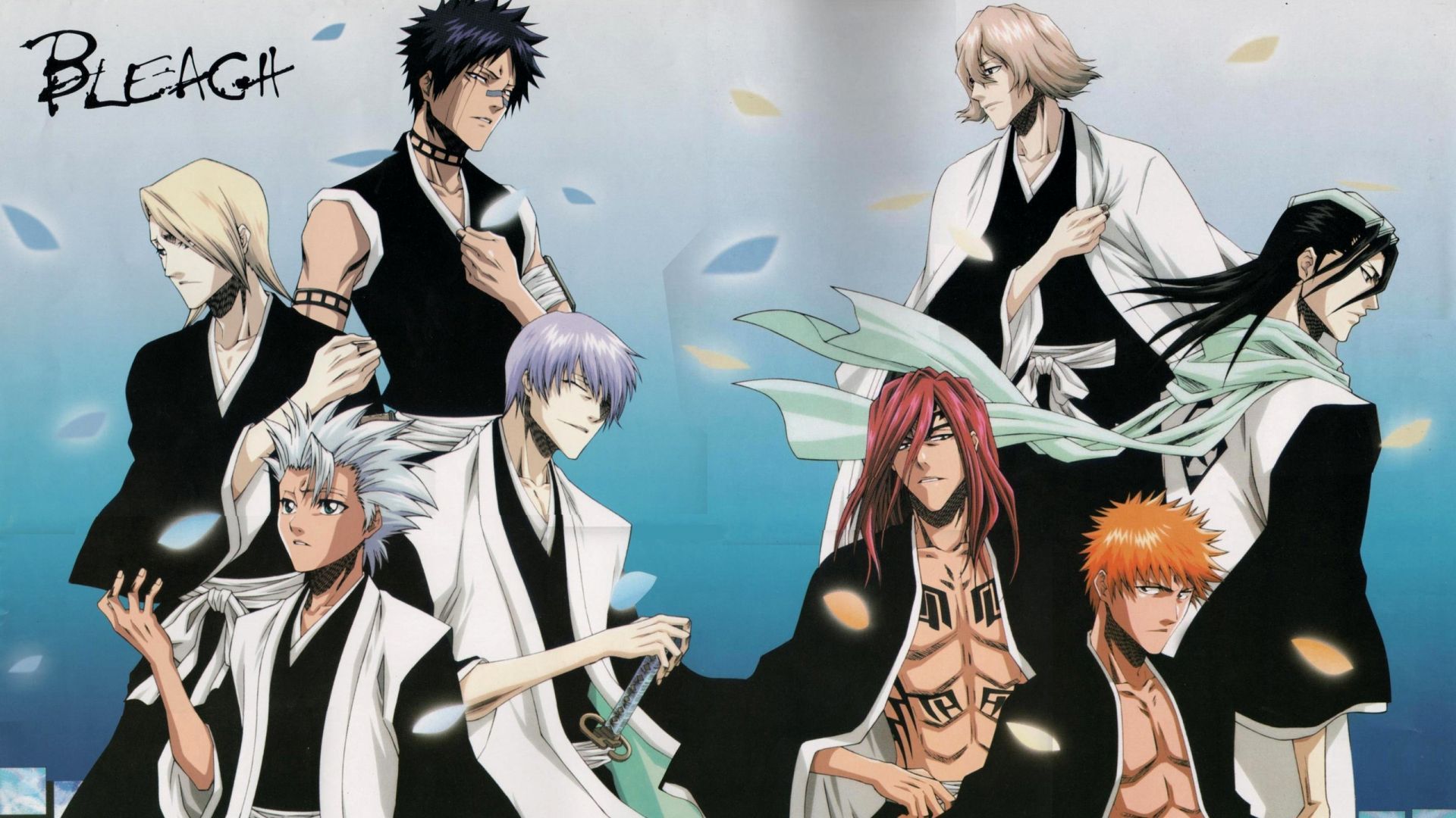 Download Bleach Characters Anime Wallpaper 1920x1080 Full HD