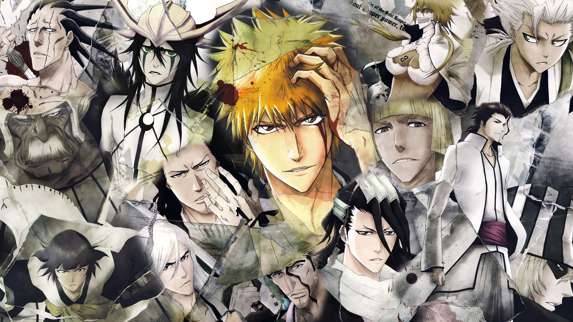 Bleach Characters, anime, fondo, field, 1920x1080 HD Wallpaper and other