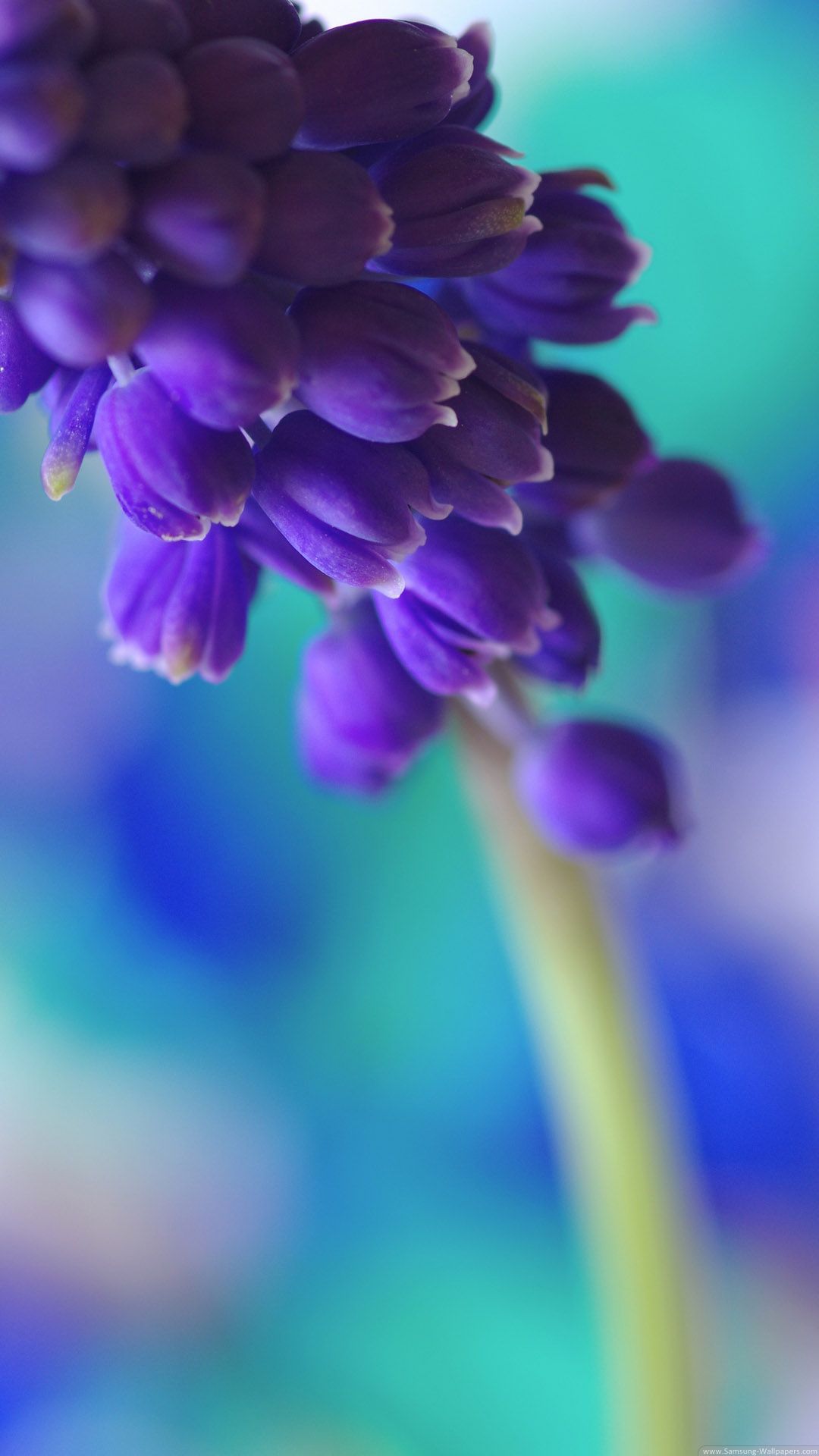 Flower Art Desktop Samsung Galaxy S4 1080x1920 Wallpaper ...