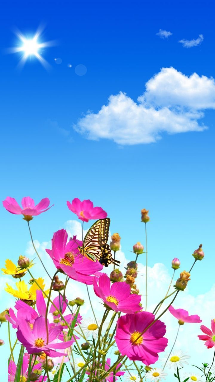 Download Wallpaper 720x1280 Flowers, Sky, Butterflies, Balloons ...