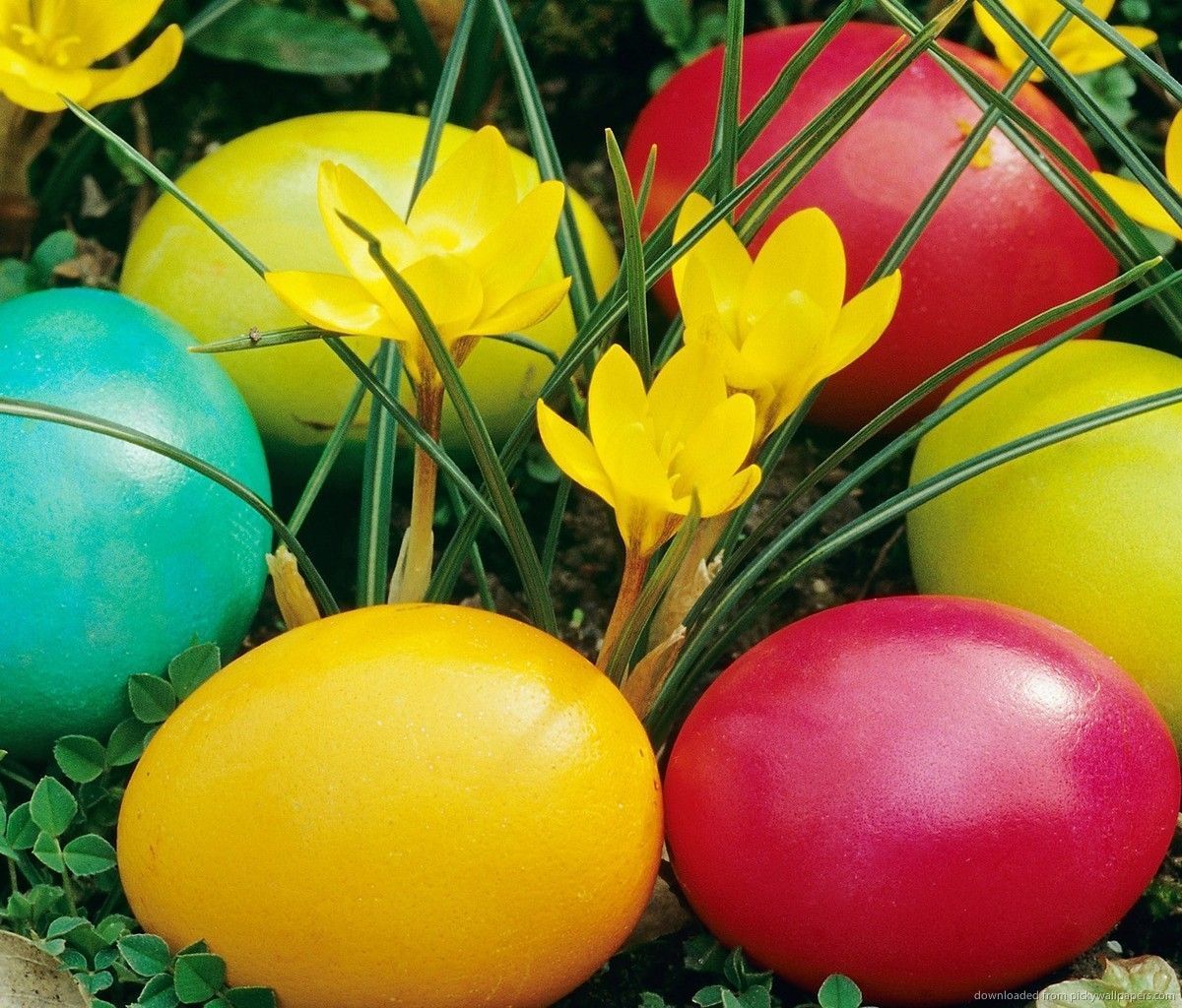 Download Easter Eggs And Yellow Flowers Wallpaper For Samsung ...