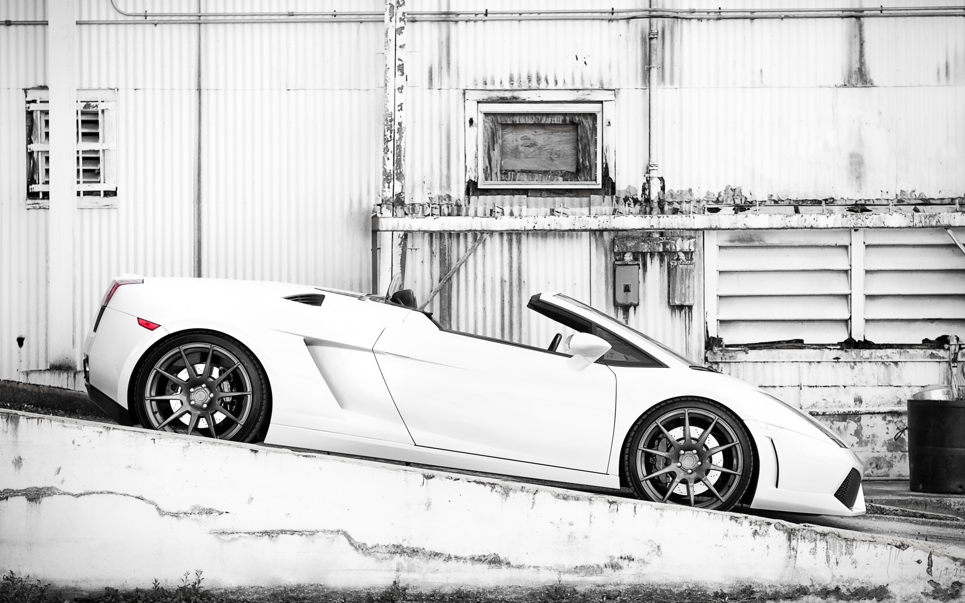 White Lamborghini Gallardo Wide Screen 4K Wallpaper | 4K Wallpapers