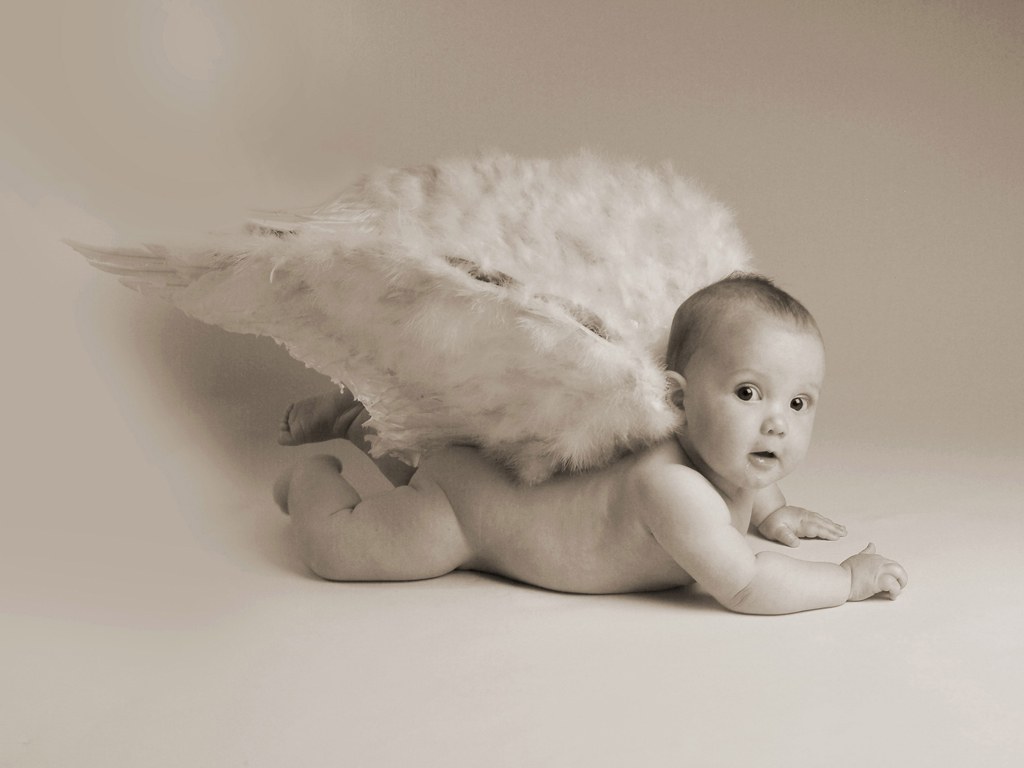 Children & Baby Photography : Newborn Photography, Infant ...