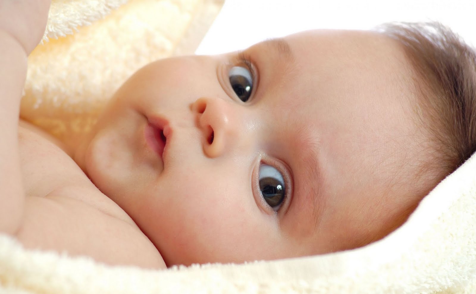 newborn baby photos free