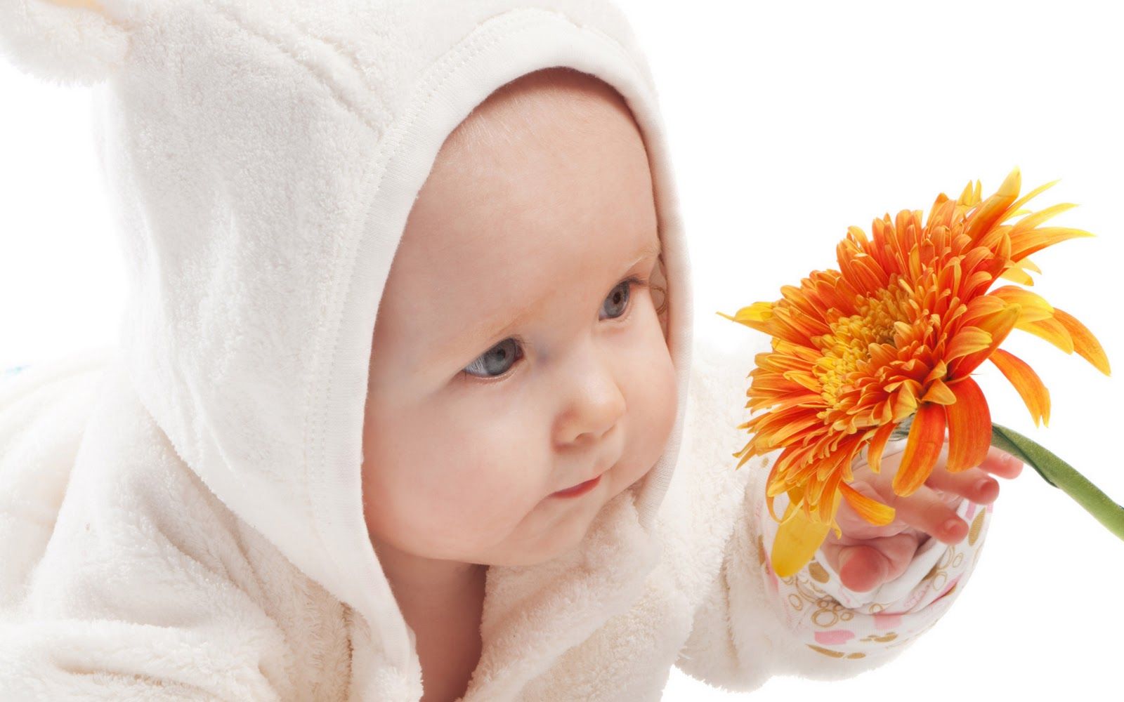 49 Cute baby hd wallpaper 216 :: New Born Baby Wallpapers