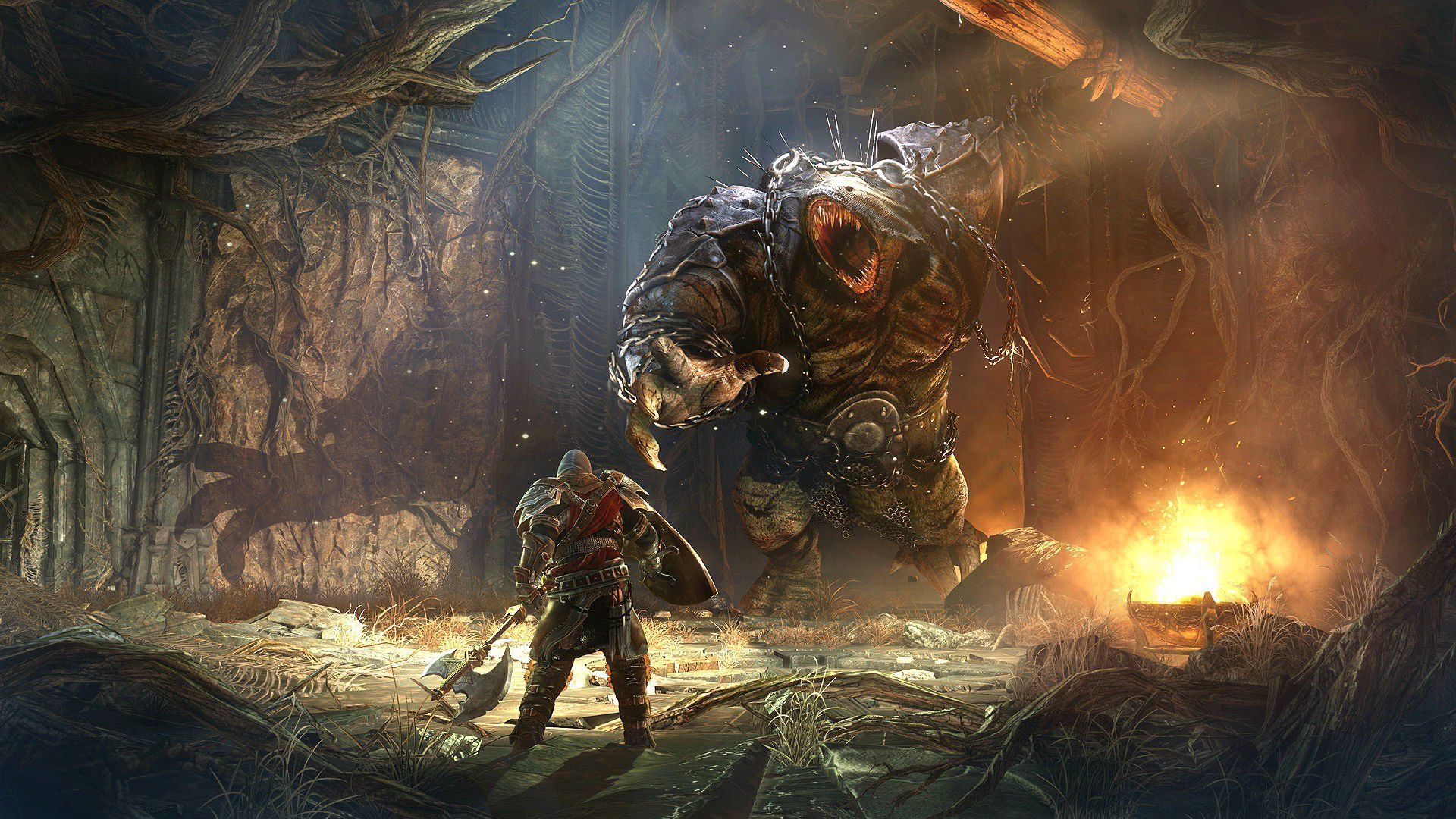 Lords Of The Fallen Desktop Wallpaper, Lords Of The Fallen Images ...