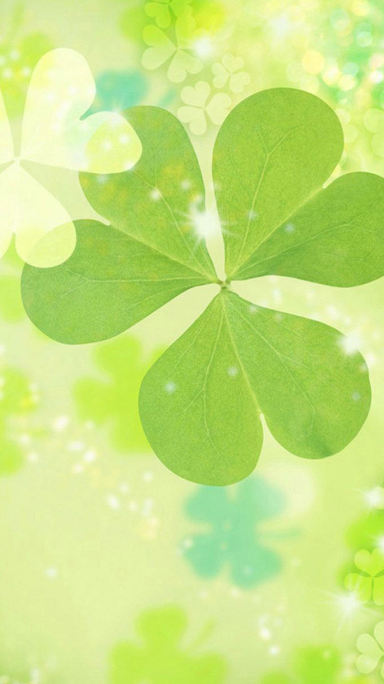 Nice Clover iPhone 6 Wallpapers | iPhone 6 Wallpapers