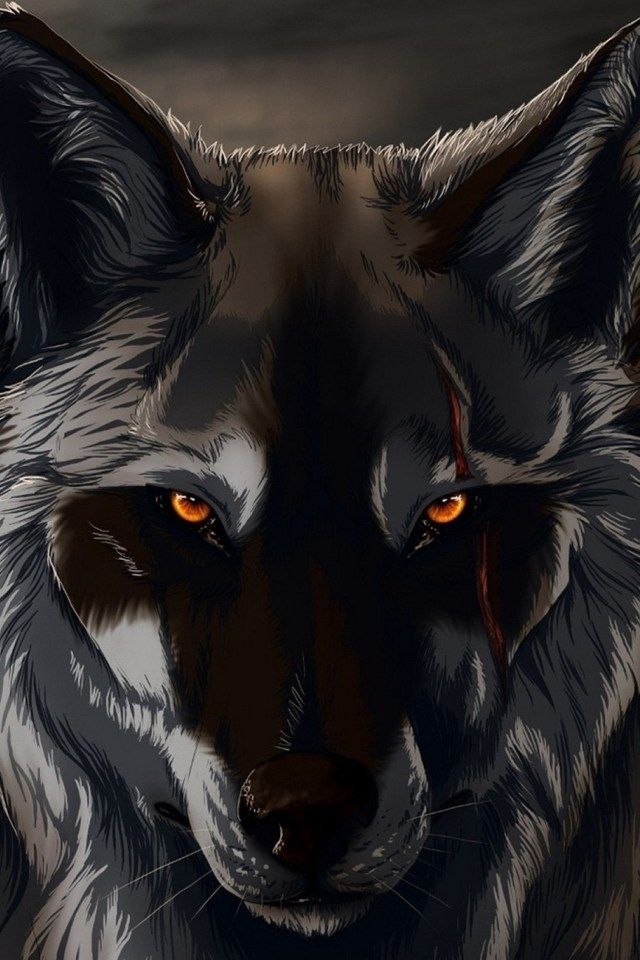 Black Wolf 3D Wallpaper for iPhone 4