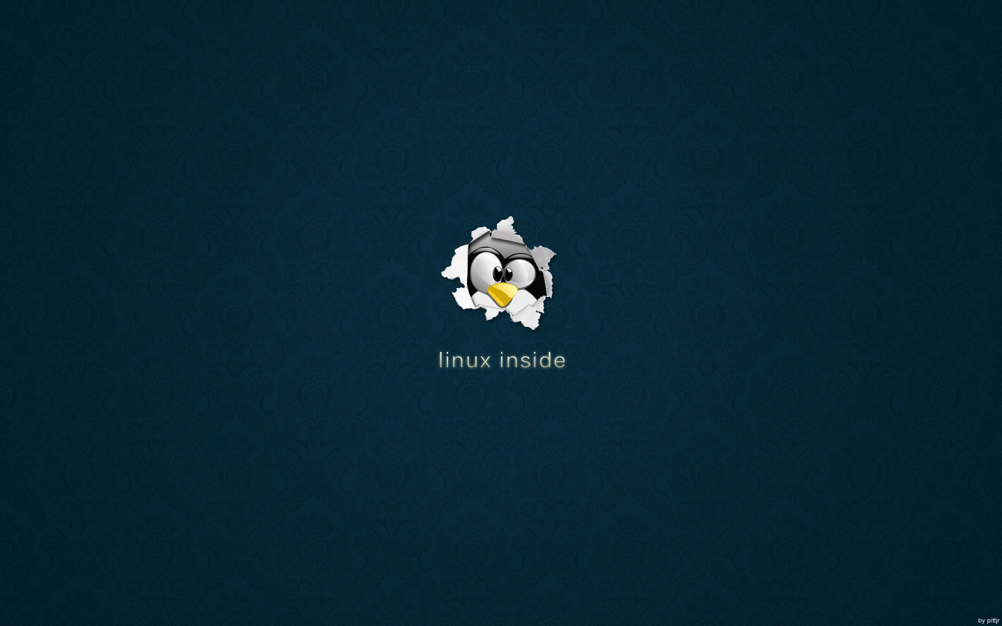 Linux Tux Penguins : Desktop and mobile wallpaper : Wallippo