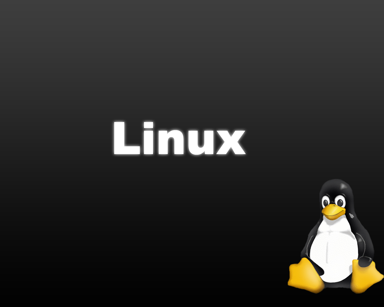 Linux Penguin - wallpaper.