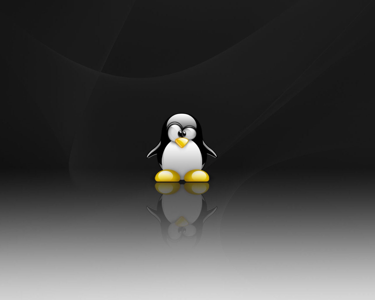 Linux Backgrounds and Wallpapers