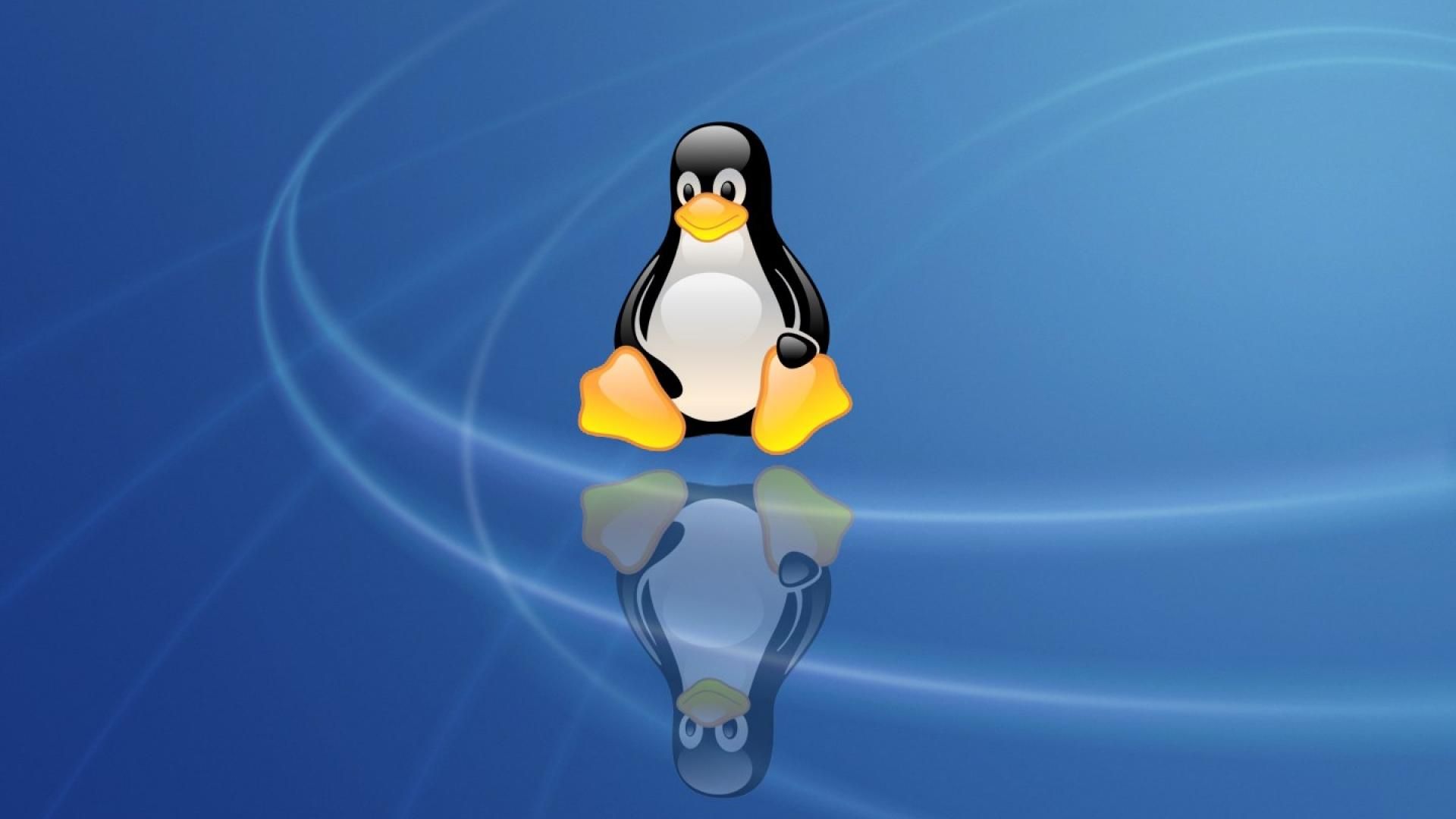 Linux unix penguin computer os hd wallpaper - - HQ