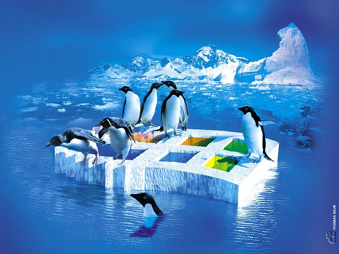 Tux penguin - 3D Linux Penguin Wallpaper 1 - Wallcoo.net