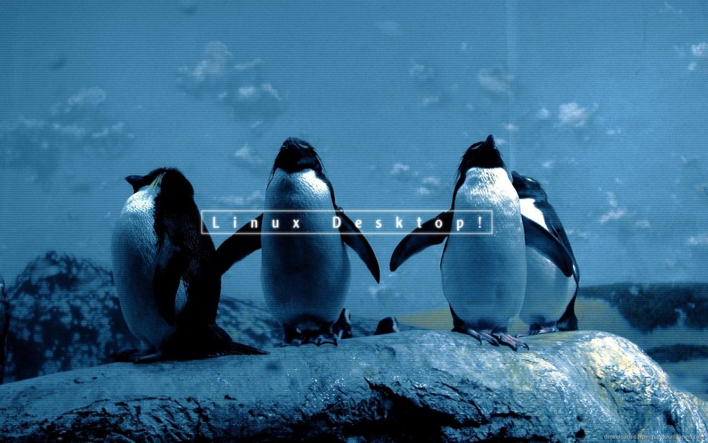 Download 1440x900 Linux Penguin Wallpaper