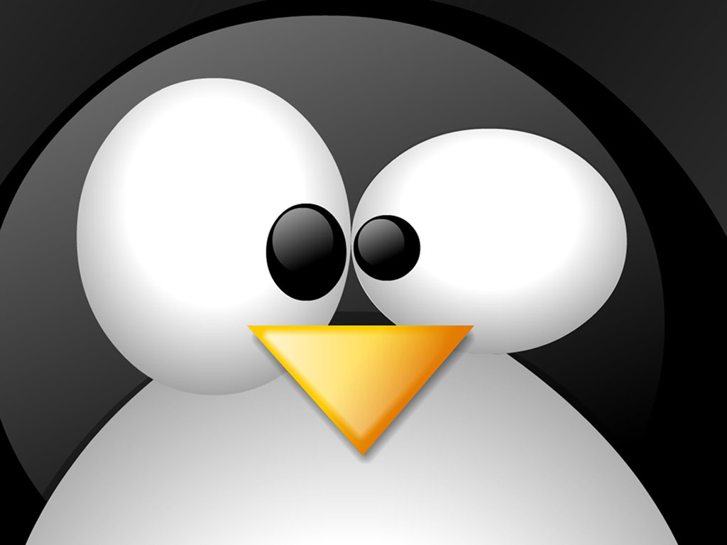 Free Linux Penguin computer desktop wallpaper