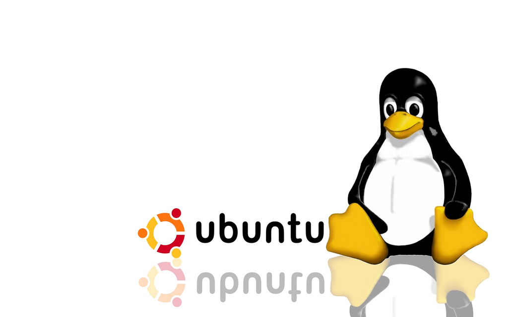 Ubuntu Linux Penguin wallpaper | Flickr - Photo Sharing!