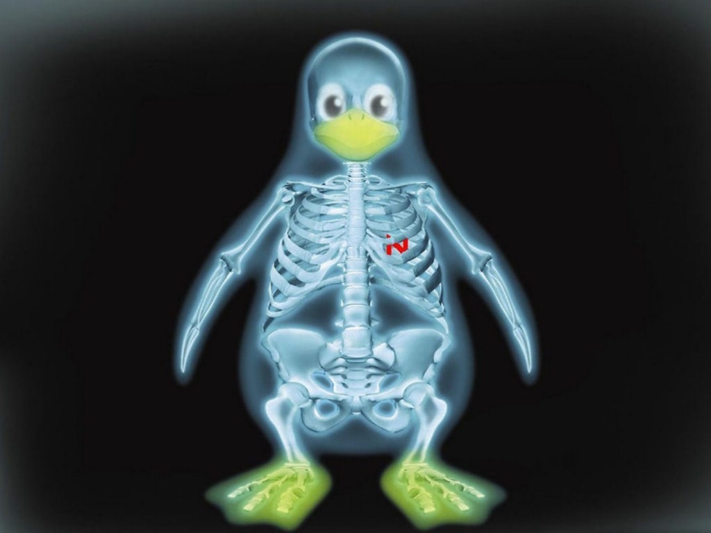 Wallpapers Radiation Linux Medical For The Penguin 1024x768 ...
