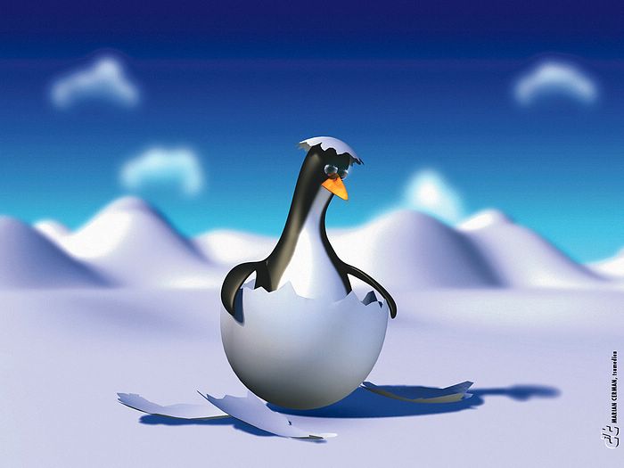 Tux penguin - 3D Linux Penguin Wallpaper 1 - Wallcoo.net
