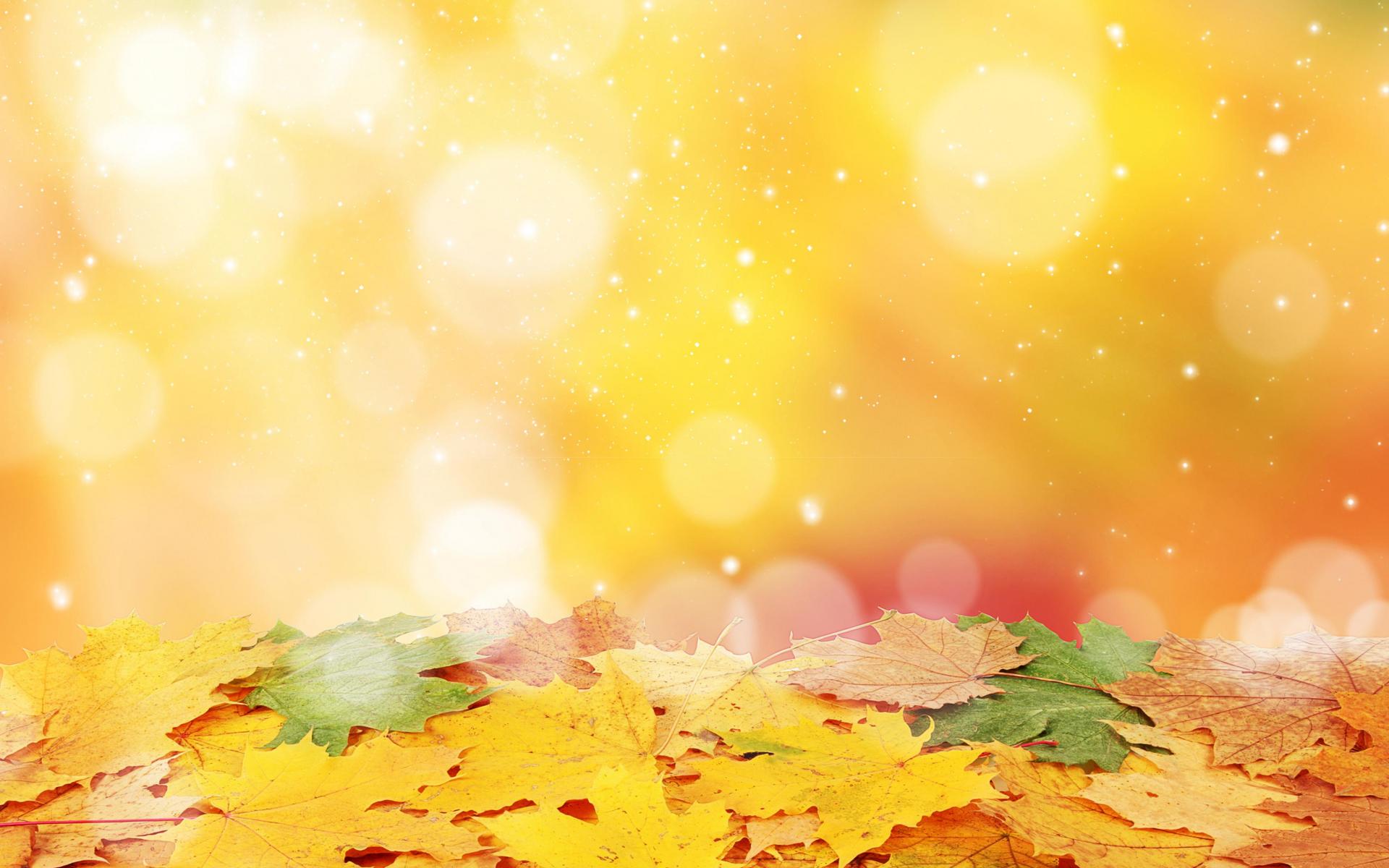 A bright sunny day in autumn - (#129264) - High Quality and ...