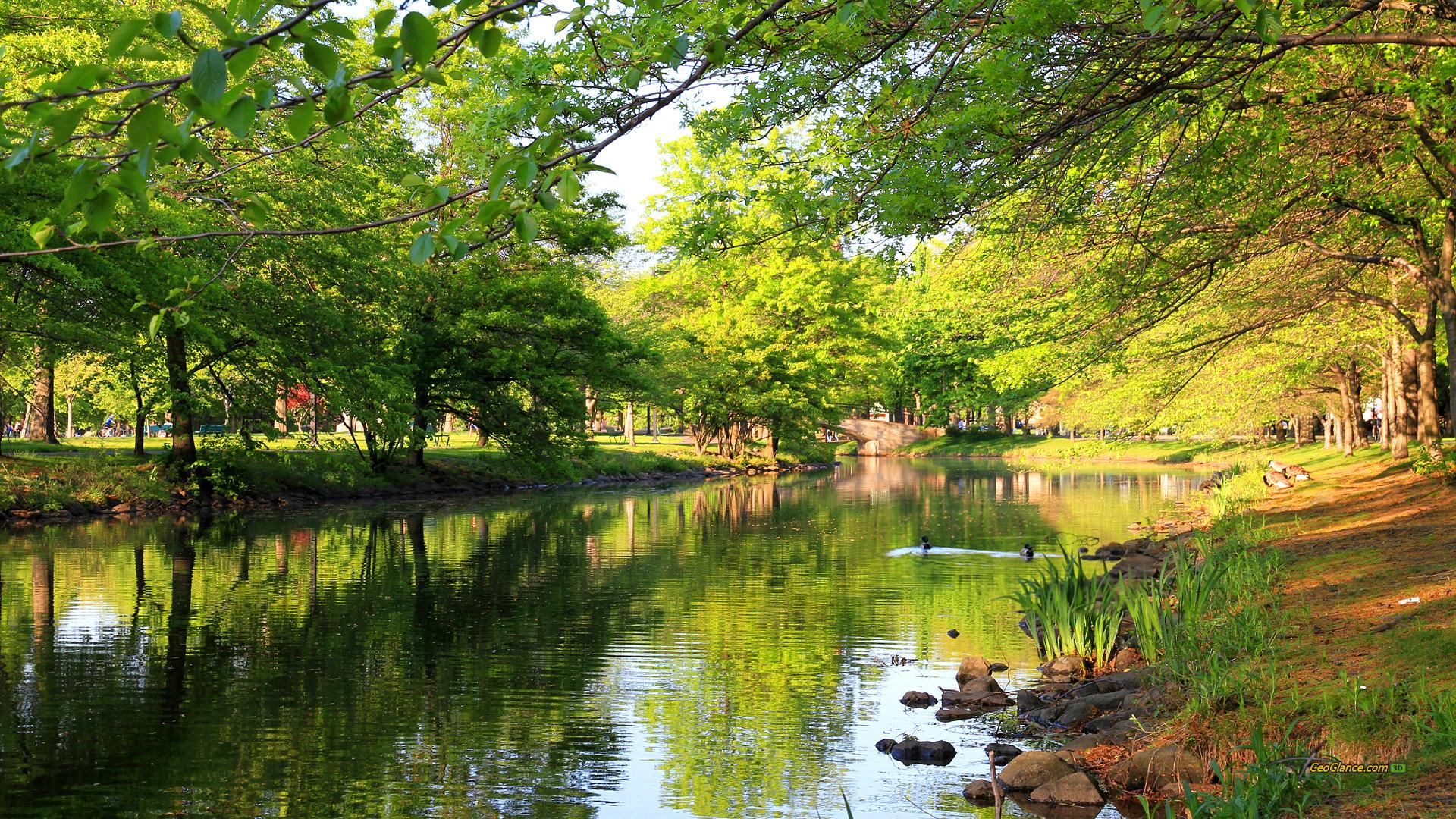 River In A Park On A Sunny Day >> HD Wallpaper, get it now!