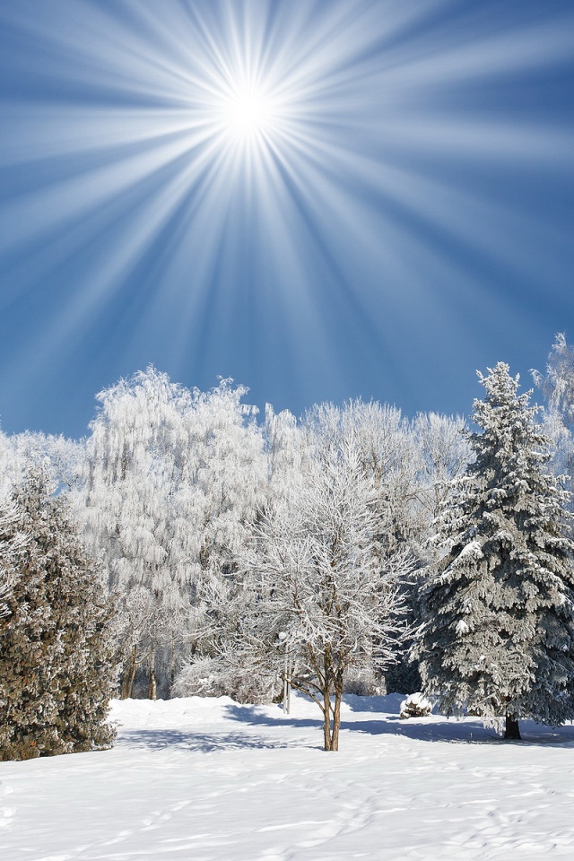Sunny Winter Day HD desktop wallpaper : High Definition ...