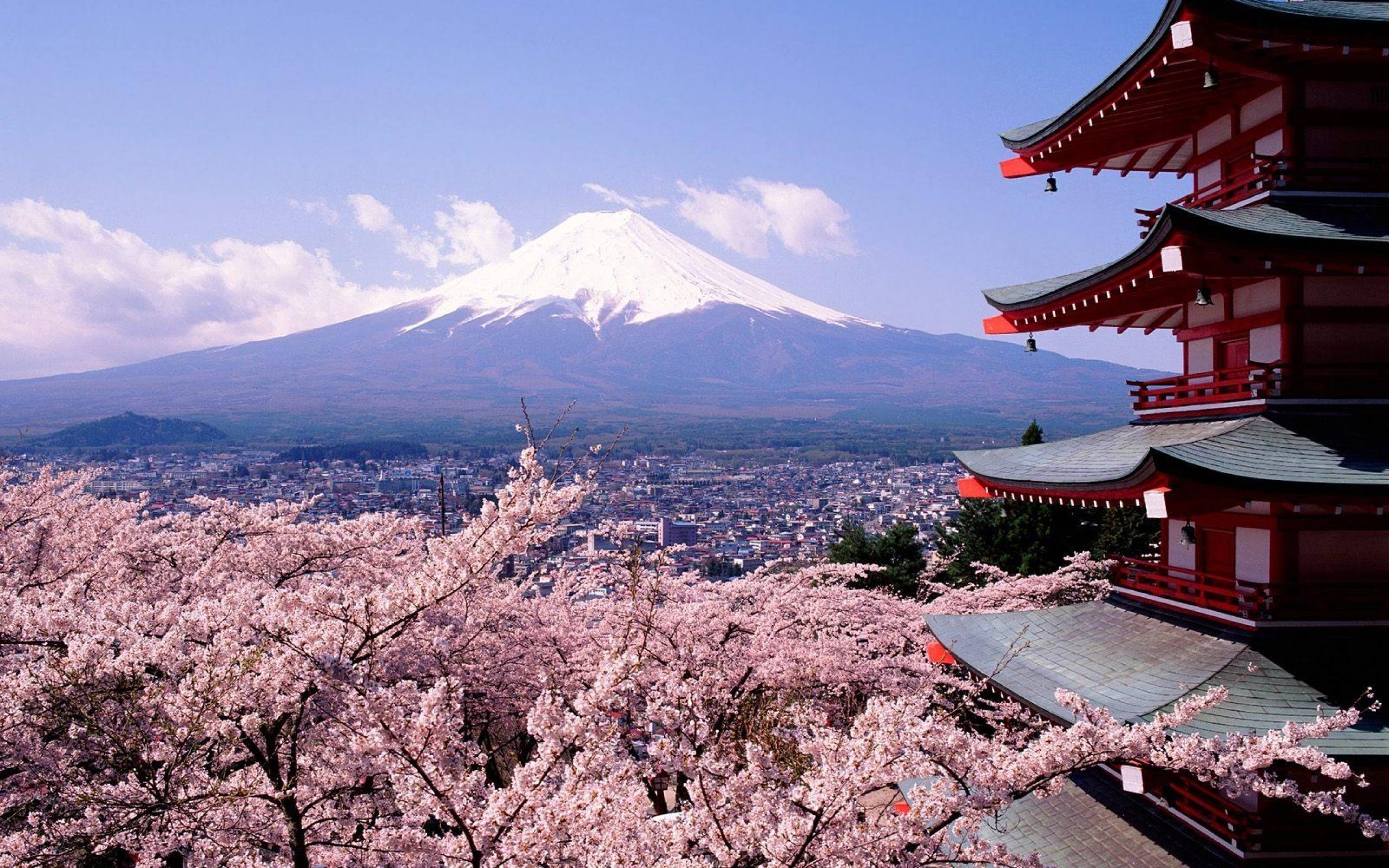 Tokyo Fuji Mountain And Sakura Flower HD Wallp #12223 Wallpaper ...