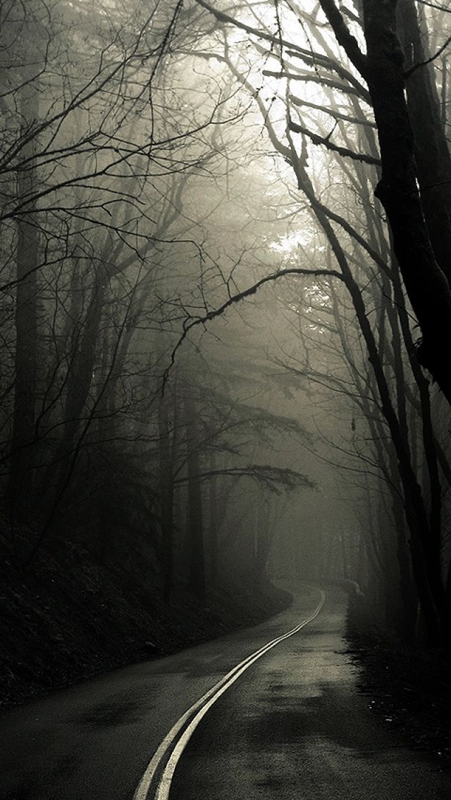 Dark Road Forest iPhone 5s Wallpaper Download | iPhone Wallpapers ...