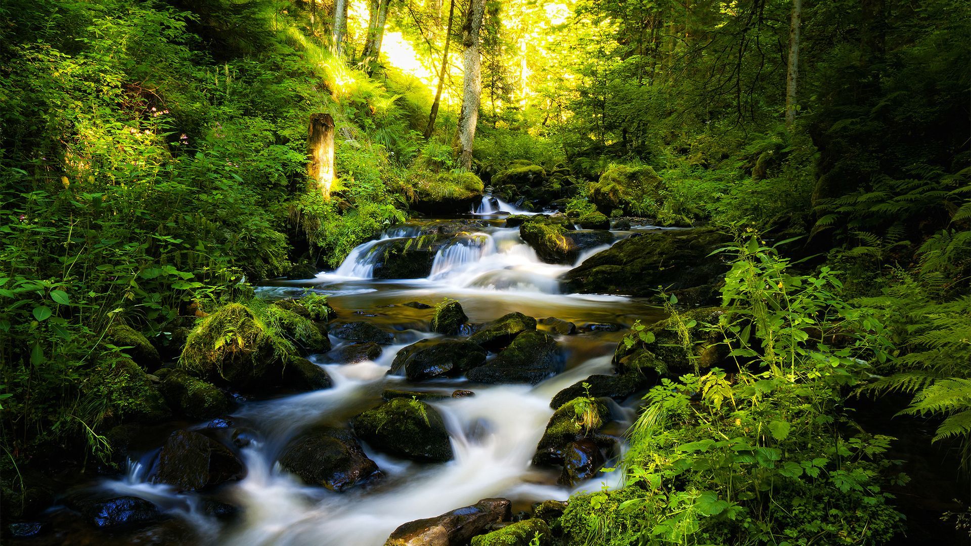 Taken Waterfall Nature | Free Desktop HD Wallpaper