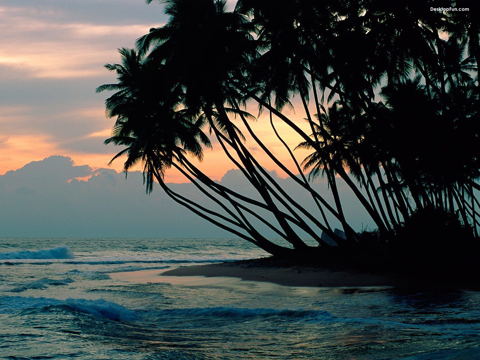 Middle East Packages Tour Sri Lanka Ceylone Holidays - Travel