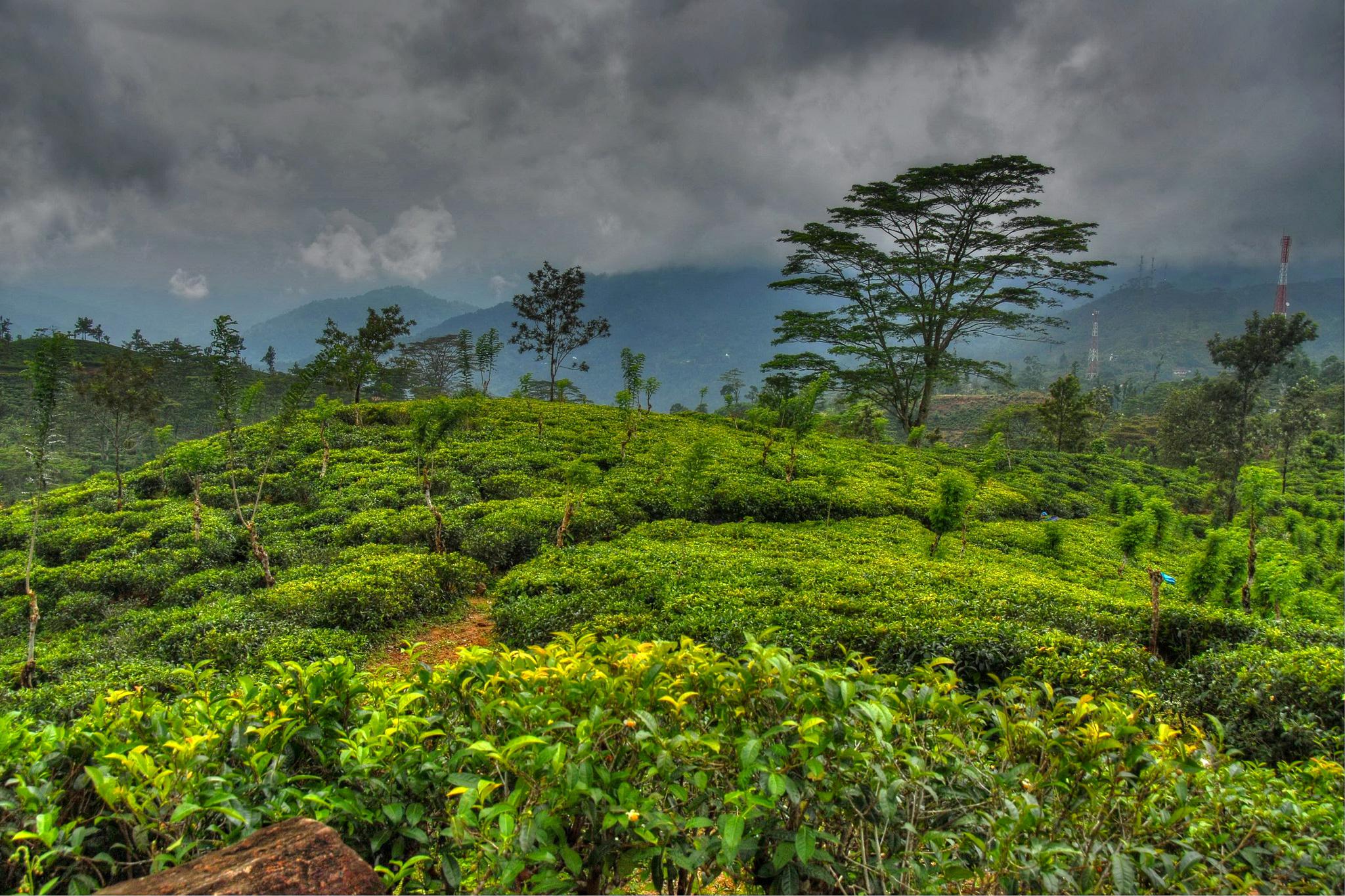 Tropics Scenery Sky Sri Lanka Nature >> HD Wallpaper, get it now!