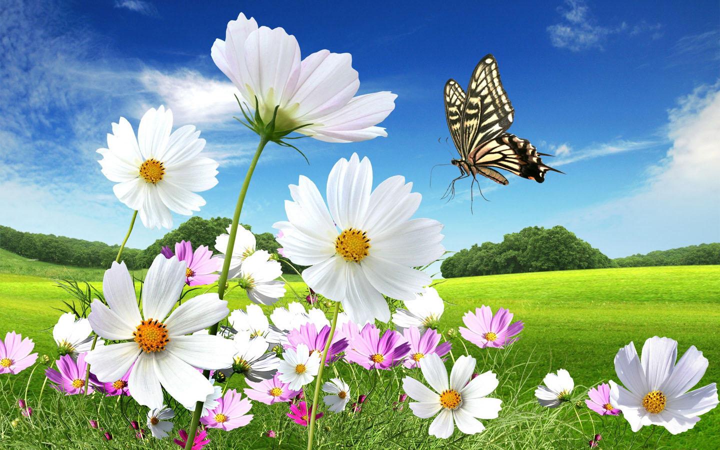 Butterfly Wallpaper - Android Apps on Google Play