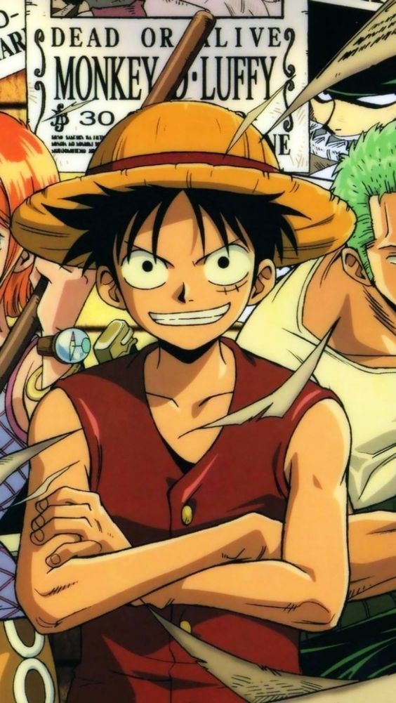 One Piece on Pinterest One Piece Anime, Straw Hats and Monkeys