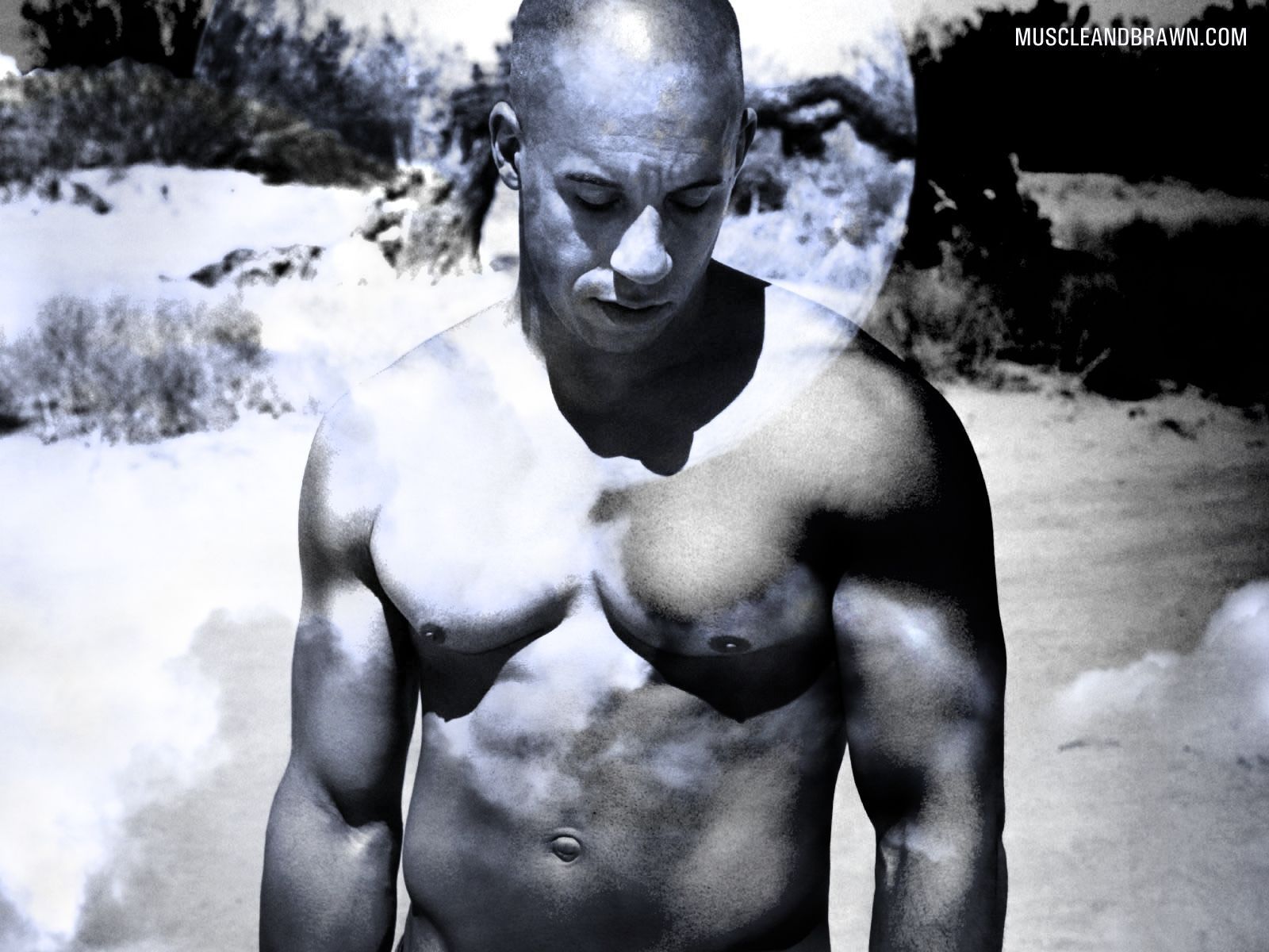 Vin Diesel Wallpaper - Muscle and Brawn