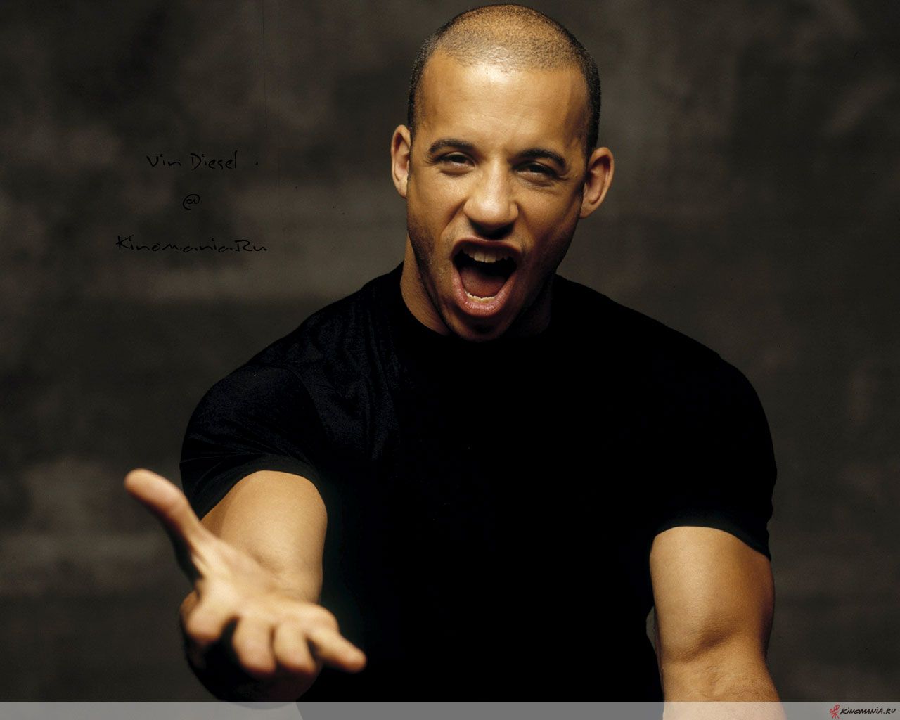 Wallpapers Vin Diesel Celebrities Image #227986 Download