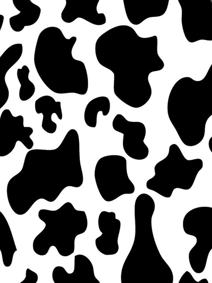 Cow print All things cow print Pinterest Cow Print