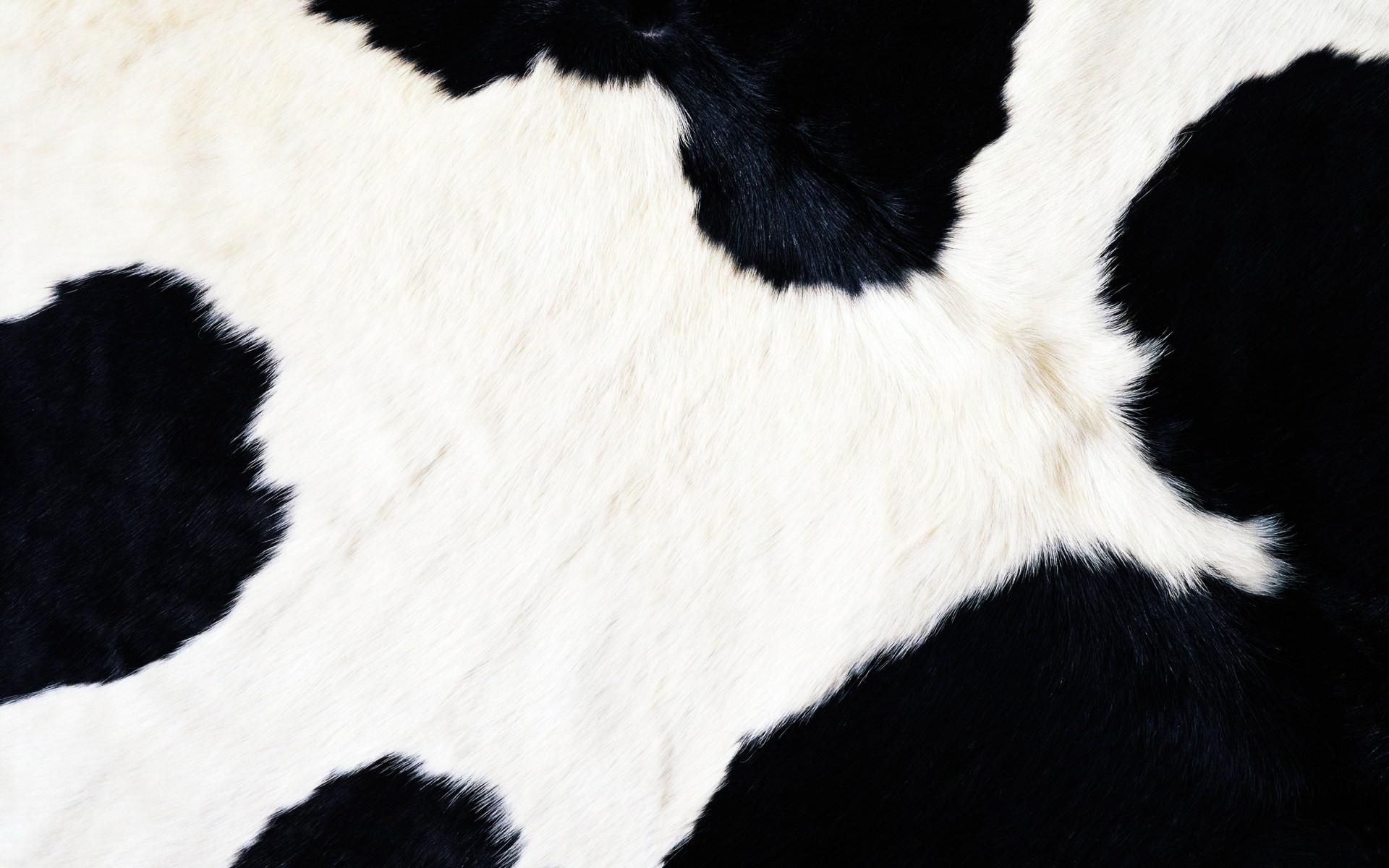 Cow fur >> HD Wallpaper, get it now!