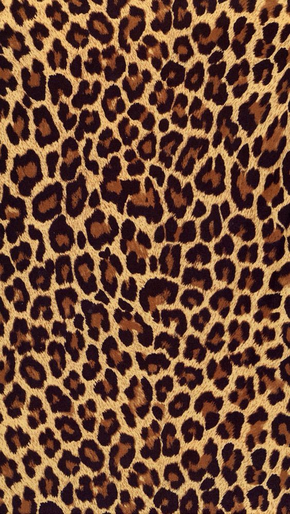 Animal pattern & texture & print on Pinterest | Iphone Wallpapers ...