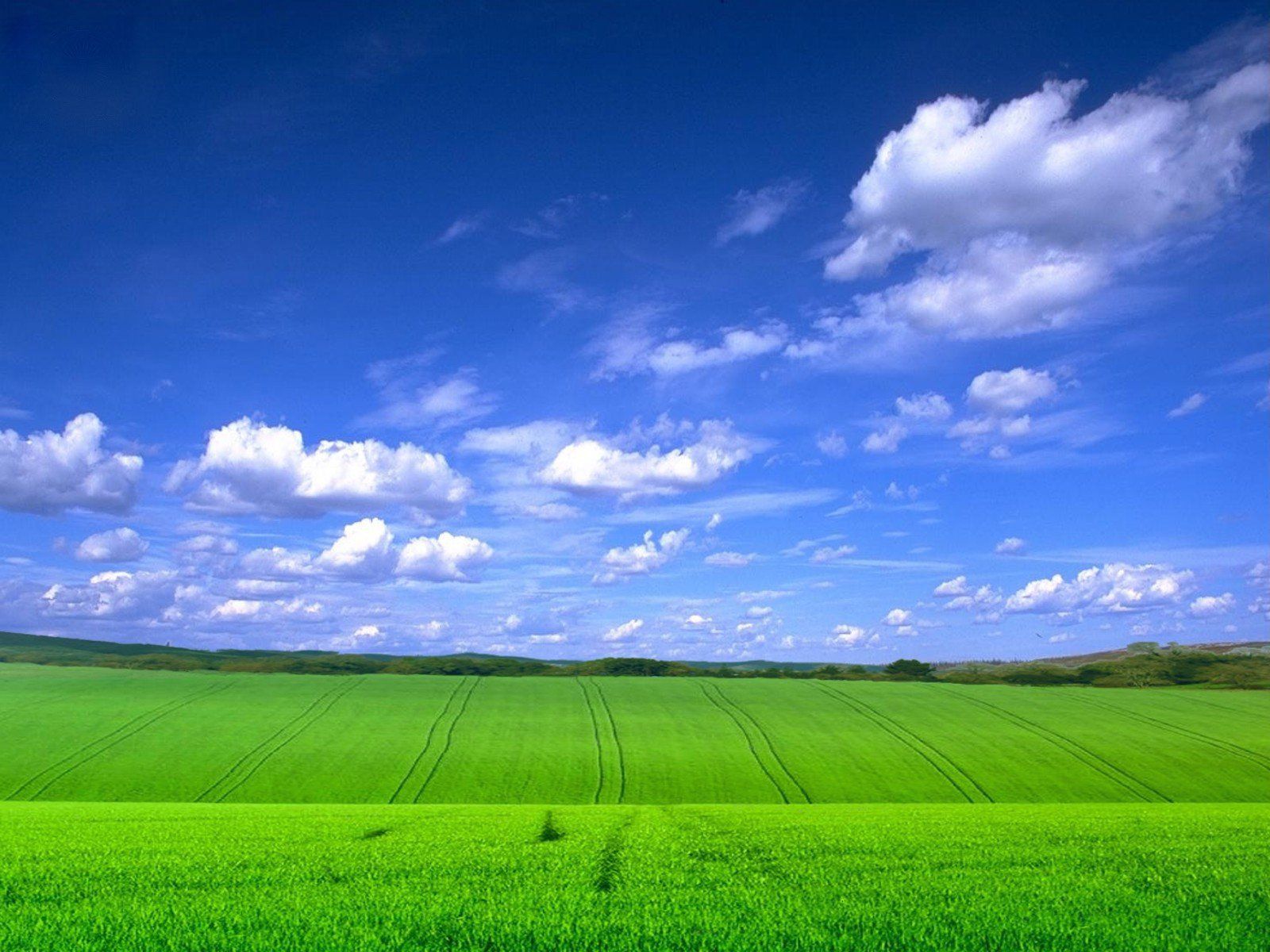 Free Dream the Green-Blue Dream Happy computer desktop wallpaper