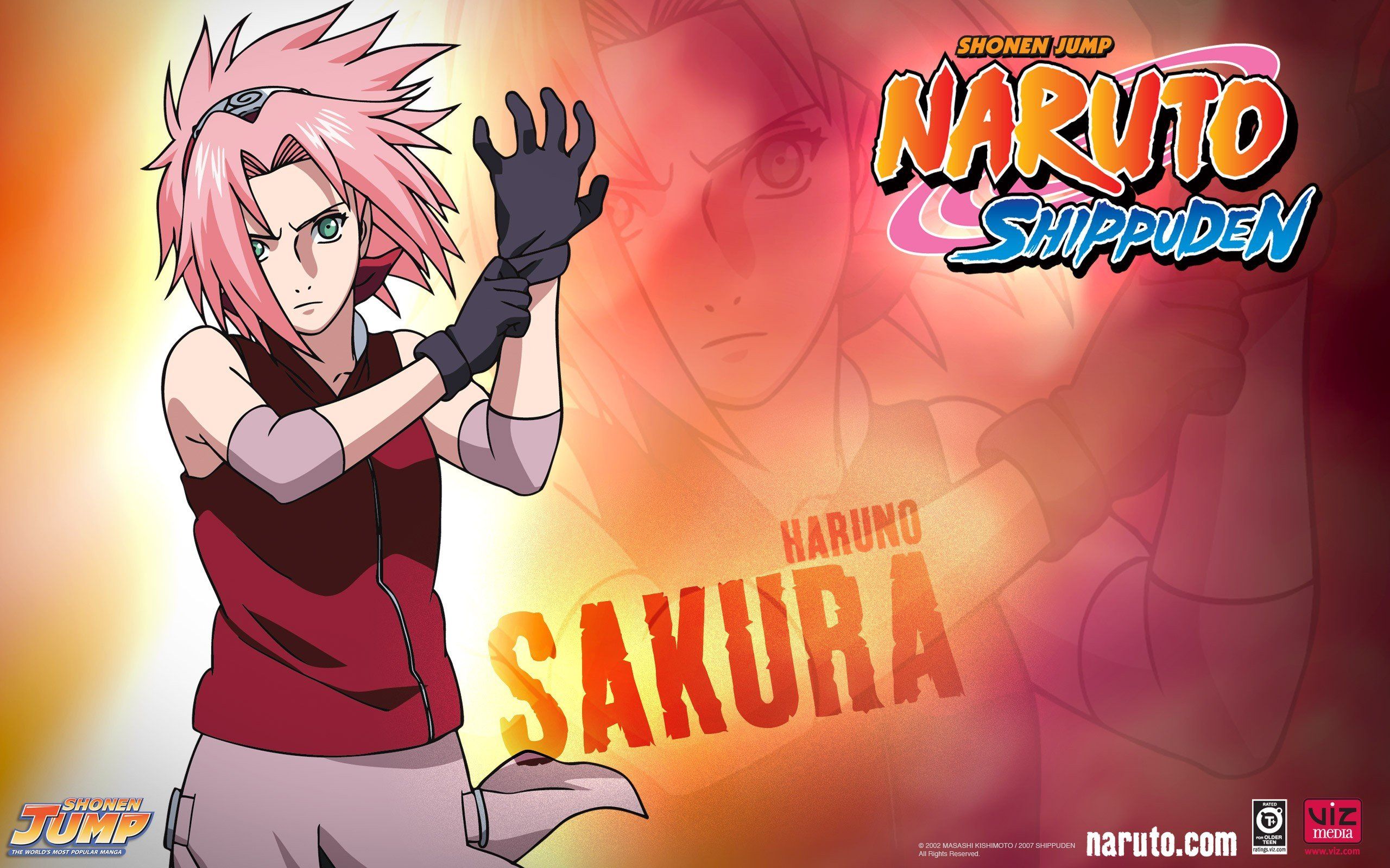 Haruno Sakura Naruto: Shippuden wallpaper | 2560x1600 | 320982 ...