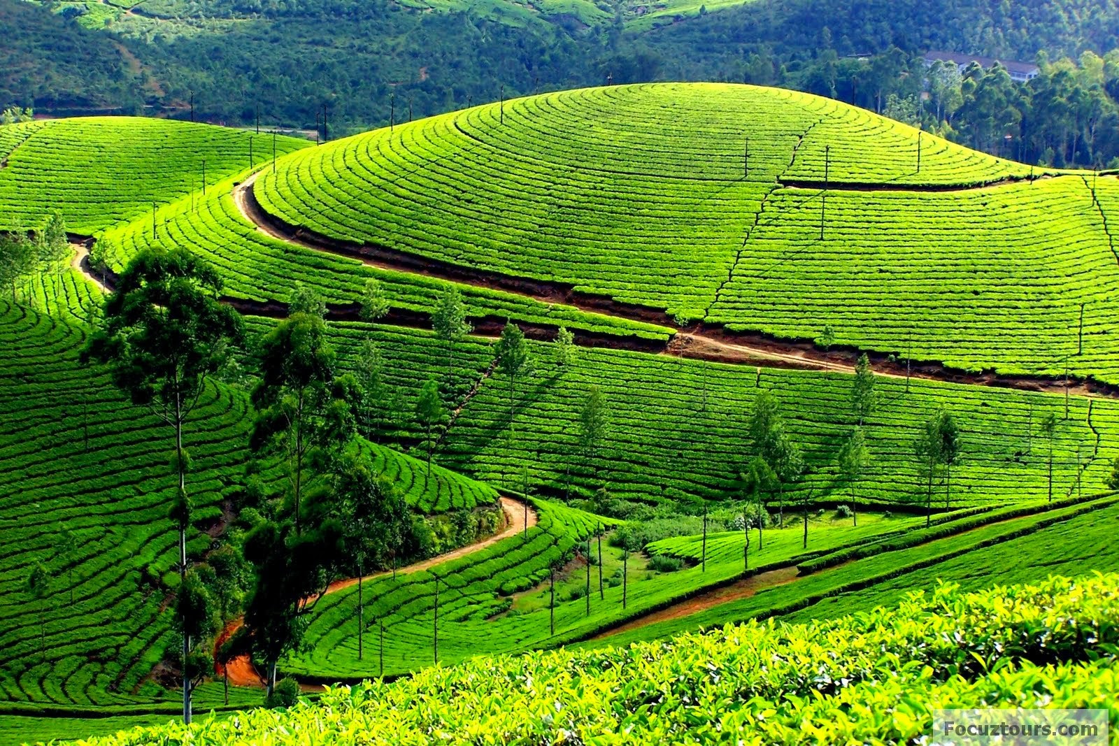 Ooty Wallpapers