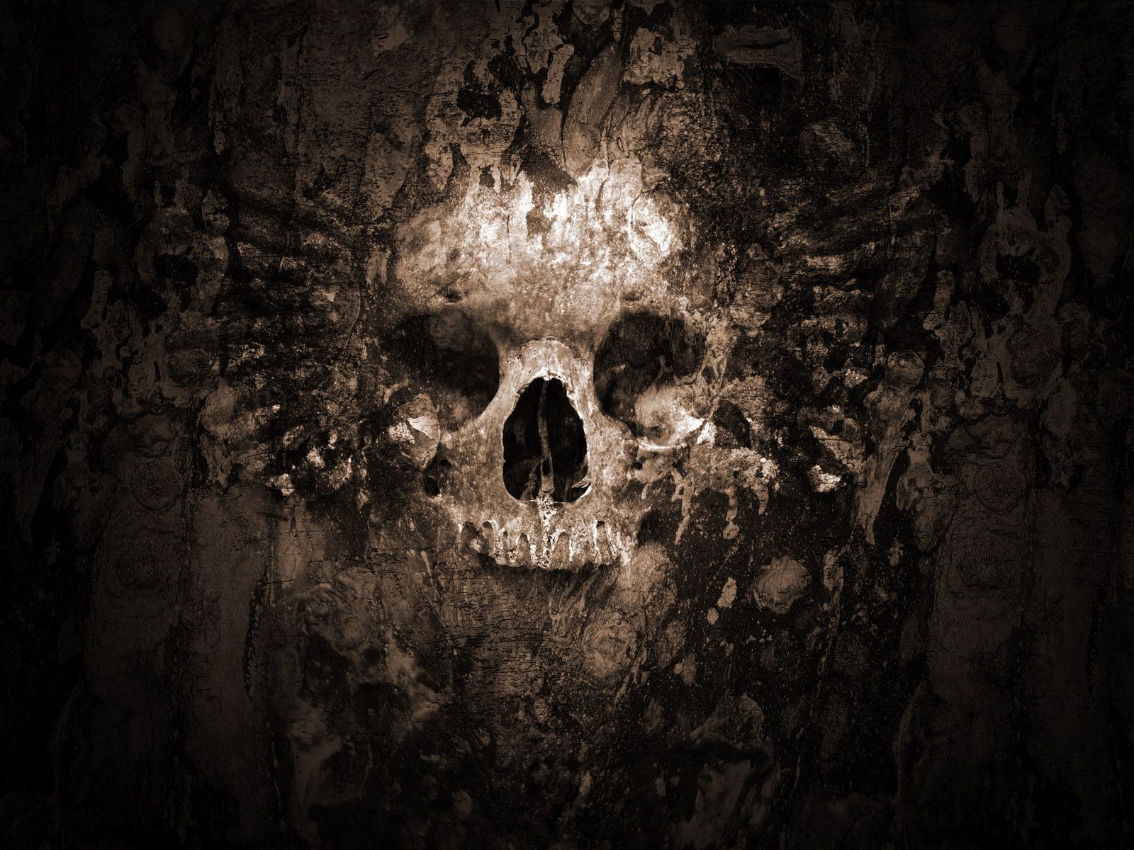 Cool Skull Wallpapers | Imagenes Wallpaper