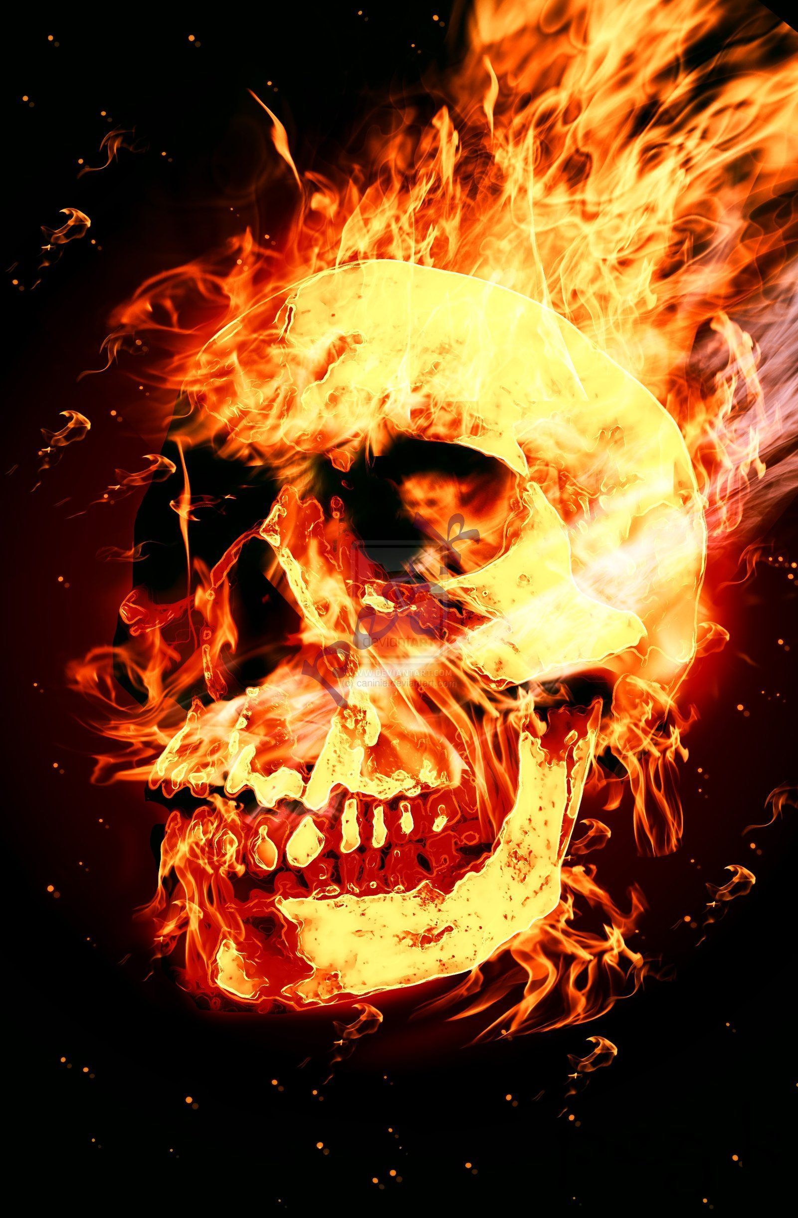 Gallery for - skull fire wallpapers