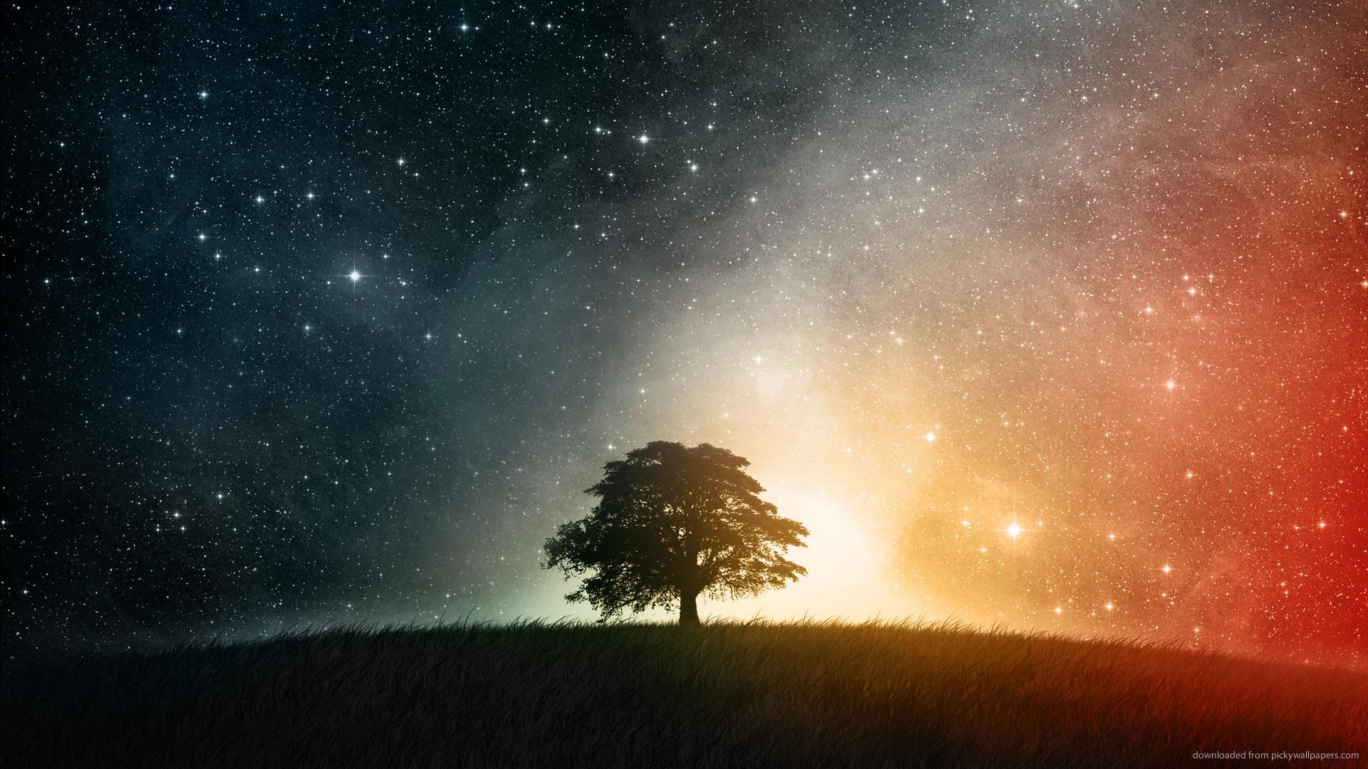Download 1920x1080 Lonesome Tree With Starry Colorful Sky Wallpaper