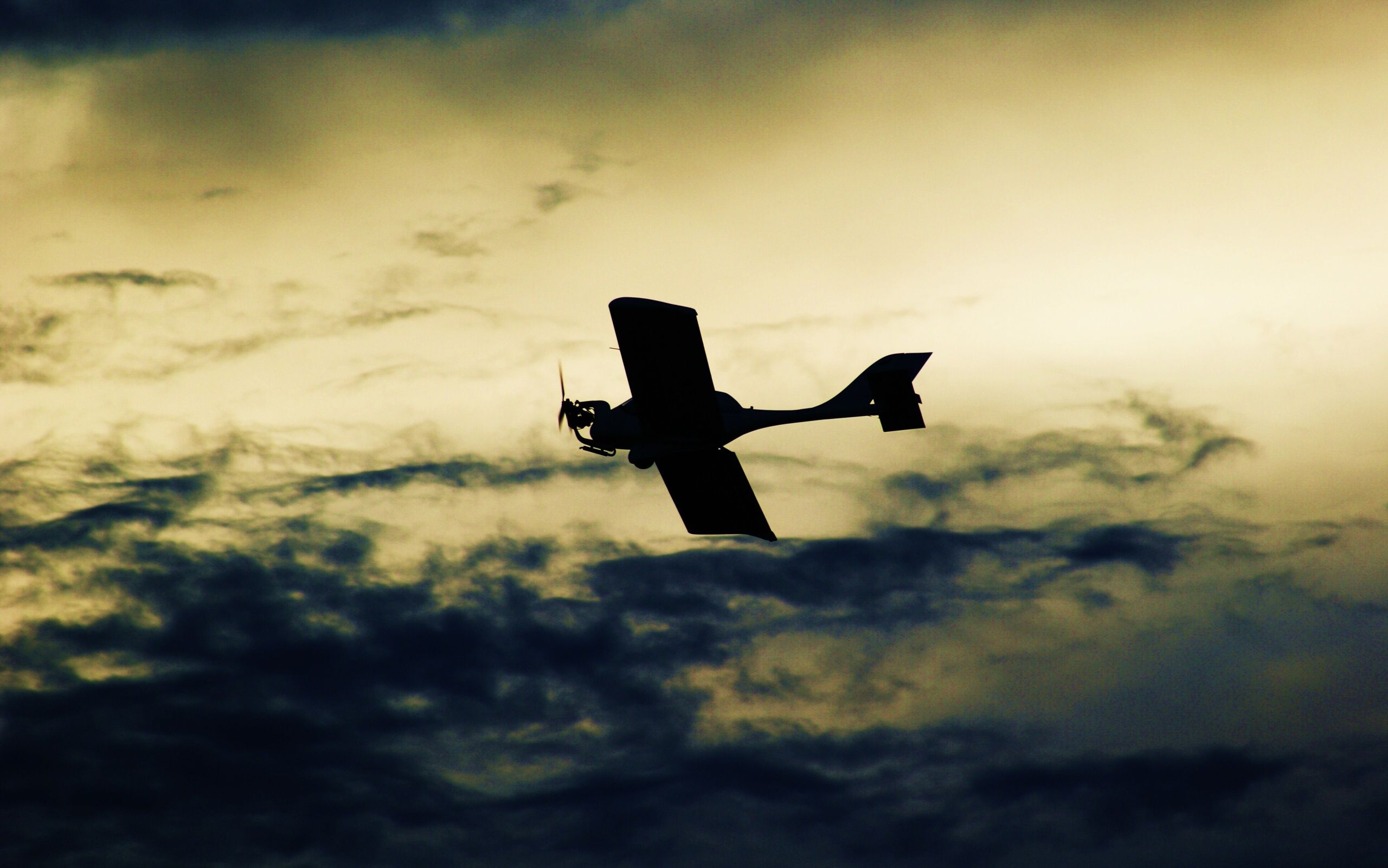 An airplane in the sky wallpapers and images - wallpapers ...