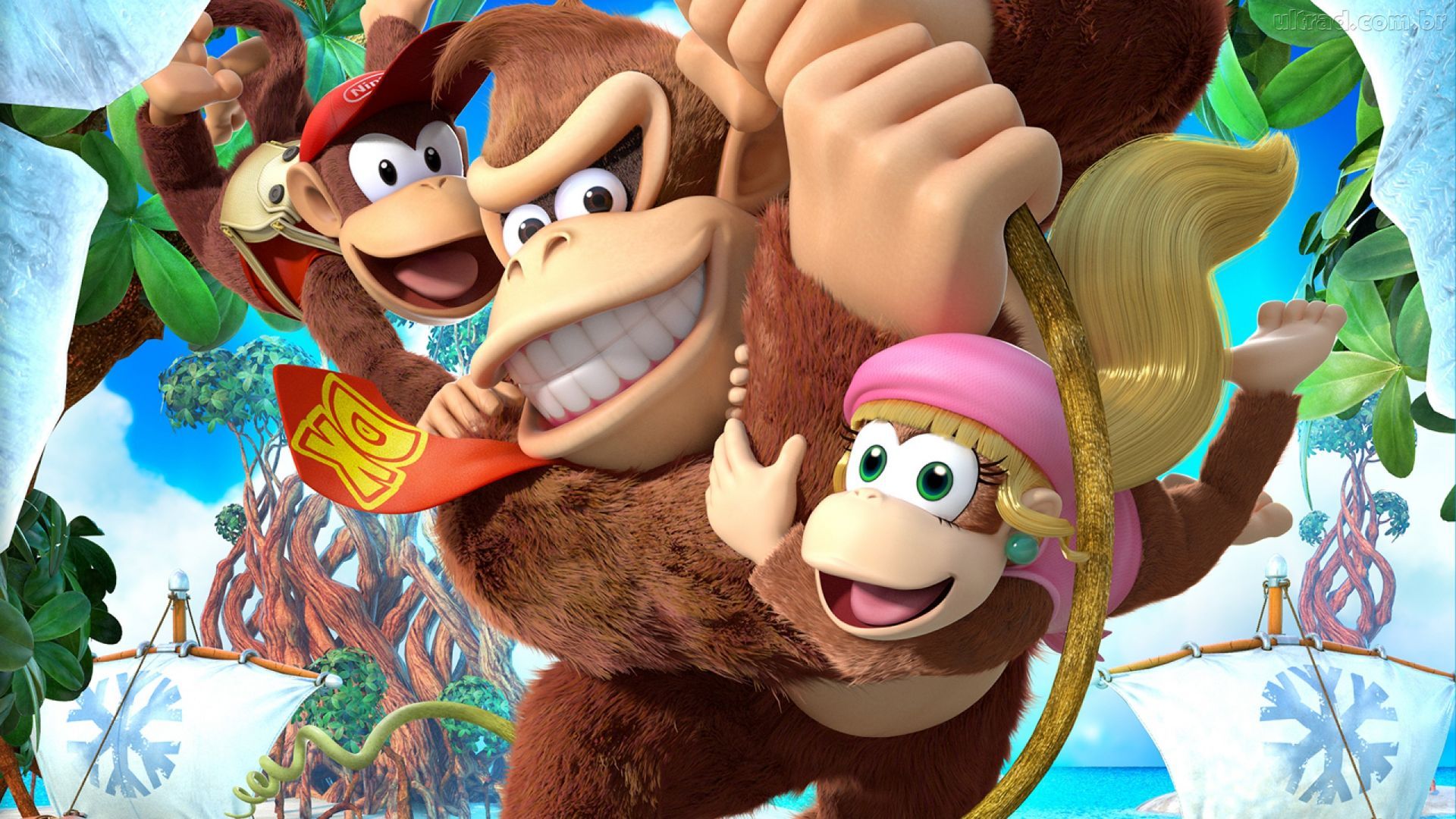 19 Donkey Kong Country Tropical Freeze HD Wallpapers