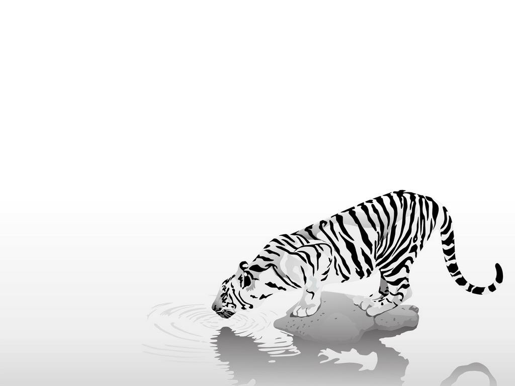 Tiger Tattoo Images & Designs