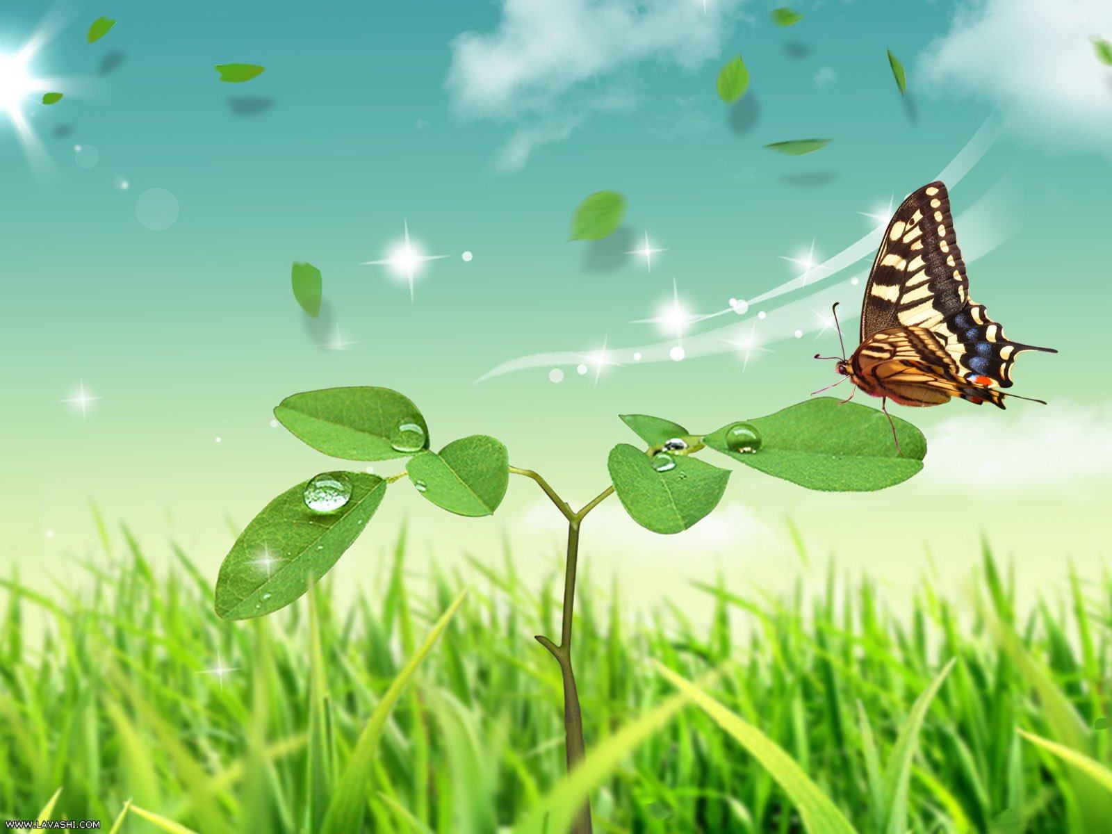Butterflies HQ Wallpapers - Download free Butterflies HQ HD ...
