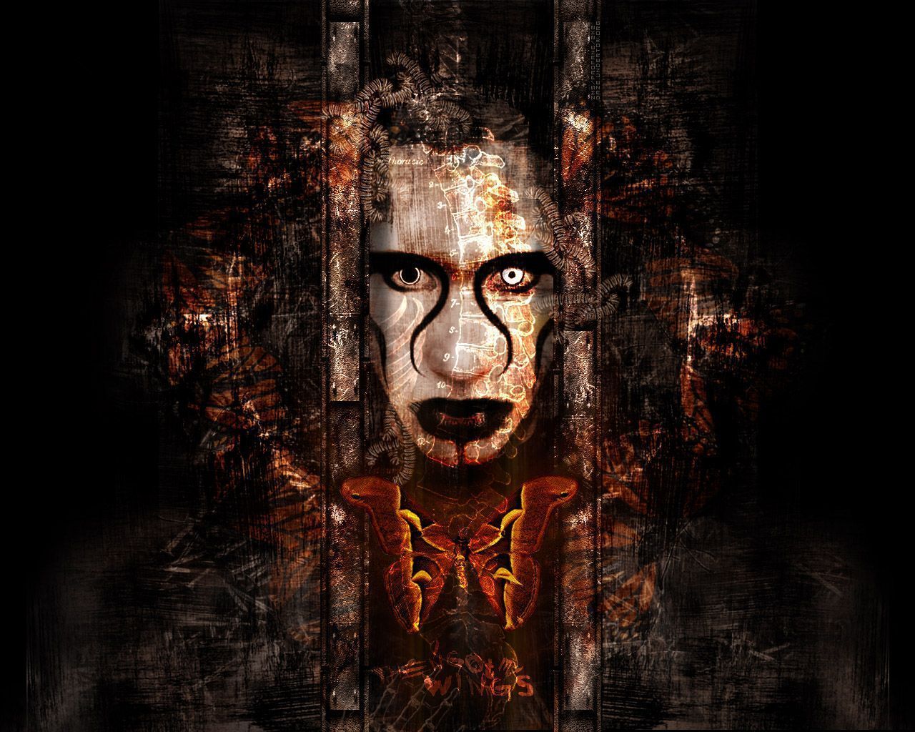 Marilyn Manson - Marilyn Manson Wallpaper 284185 - Fanpop