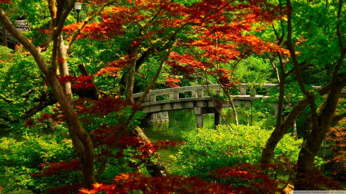 Japanese Garden Kyoto HD desktop wallpaper Widescreen High resolution